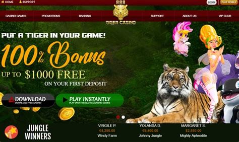 888 tiger casino no deposit bonus 2020 niou